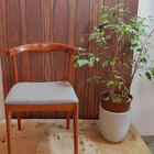 Cadeira Aziz Estofada - Ponta De Estoque