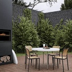 Cadeira Bali - Preto