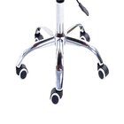 Cadeira Charles Eames Arm Base Giratória