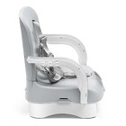 Cadeira De Alimentação Portátil Lollipop 6m 15kg Cinza Multik