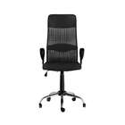 Cadeira De Escritório Diretor Giratória Winnipeg Ii Com Braço