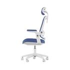 Cadeira De Escritorio Elements Astra Azul/branco