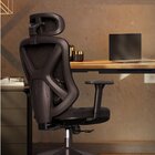 Cadeira De Escritório Ergonômica Premium Com Apoio Lombar Aju