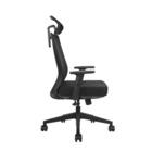 Cadeira De Escritório Ergonômica Zaruus Andrômeda Apoio De Ca