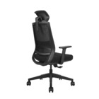 Cadeira De Escritório Ergonômica Zaruus Andrômeda Apoio De Ca