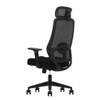 Cadeira De Escritório Ergonômica Zaruus Cygnus Apoio De Cabeç