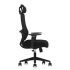 Cadeira De Escritório Ergonômica Zaruus Cygnus Apoio De Cabeç