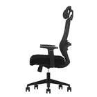 Cadeira De Escritório Ergonômica Zaruus Cygnus Apoio De Cabeç