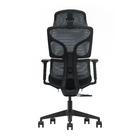 Cadeira De Escritório Ergonômica Zaruus Elegancy Apoio De Cab