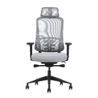 Cadeira De Escritório Ergonômica Zaruus Siriuss