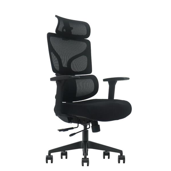 Cadeira De Escritório Ergonômica Zaruus Titan Apoio De Cabeça