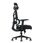 Cadeira De Escritório Ergonômica Zaruus Titan Apoio De Cabeça