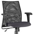 Cadeira De Escritório Giratória Executiva Ergonômica Liss L02