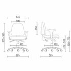 Cadeira De Escritório Giratória Executiva Ergonômica Sky L02