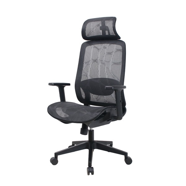 Cadeira De Escritório Home Office Ergonômica Zaruus Carin...