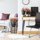 Cadeira De Escritório Interlocutor Sevilha Estofada Preta