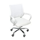 Cadeira De Escritório Oficial Begonia Tela Mesh Ergonômica Br