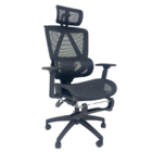 Cadeira De Escritório Presidente Executiva Oficial Titan - Pr