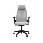 Cadeira De Escritório Presidente Nr17  Helene Special Preto/c