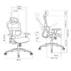 Cadeira De Escritório Presidente Nr17  Sophy (full Mesh) Cinza