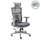 Cadeira De Escritório Presidente Nr17 Vertta Basic Cinza