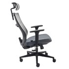 Cadeira De Escritório Presidente Nr17 Vertta Basic Preto/cinza