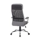 Cadeira De Escritório Presidente Pelegrin Pel-9025 Cinza