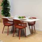 Cadeira De Jantar Marcela Marrom