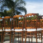 Cadeira Dior Madeira Imbuia