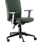 Cadeira Diretor  Espaldar Baixo Linha Alpha Verde