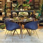 Cadeira Eleonora Base Dourada Móveis Chumbo