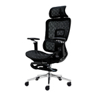 Cadeira Ergonômica Office Mesh Premium Reclinável Braço 5d Pr