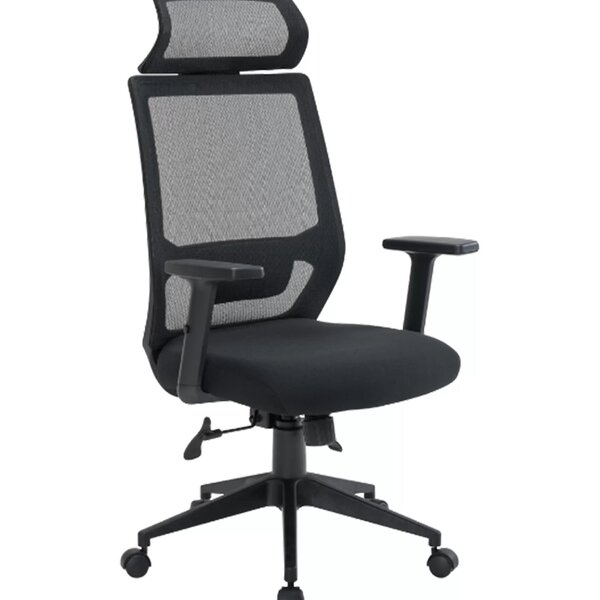 Cadeira Escritório Presidente Ergonômica Nr17 Genebra Preto