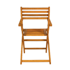 Cadeira para Jardim de Madeira Eucalipto Dobrável com Braço Solarium Amarelo 86x50,5x60cm Naterial