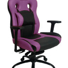 Cadeira Gamer Com Almofada Linha Gamer Racing Roxo