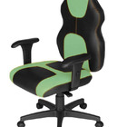 Cadeira Gamer Diretor Linha Gamer Racing Verde