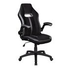 Cadeira Gamer Pelegrin Pel-3011  Preta E Cinza