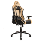 Cadeira Gamer Roxtor Warrior Dourada