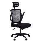 Cadeira Para Escritório Anm321 Diretor Giratória Anima