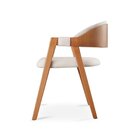 Cadeira Para Mesa De Jantar Gaia