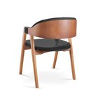 Cadeira Para Mesa De Jantar Gaia