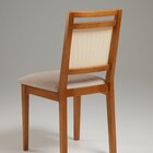 Cadeira Para Sala De Jantar Madeira Maciça Com Tela Lisa Feni