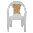 Cadeira Plastica Monobloco Com Bracos Malibu Branca Com Tela