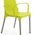 Cadeira Pp Com Braço  - Lima