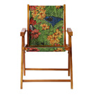 Cadeira Praia Dobrável Madeira Envernizada-arara