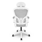 Cadeira Presidente Escritório Ergonômica Gogo Chair Go100 - B