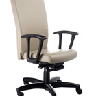 Cadeira Presidente Luxuosa Com Braços Fixos Linha Alpha Bege