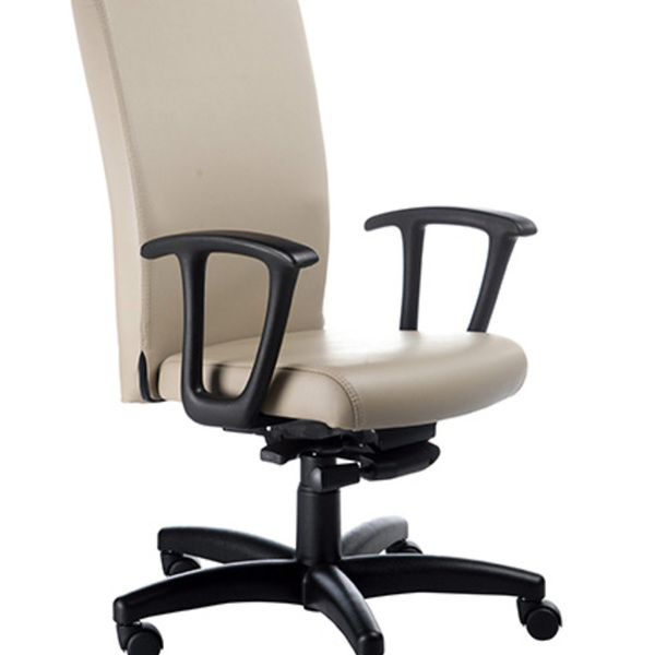 Cadeira Presidente Luxuosa Com Braços Fixos Linha Alpha Bege