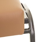 Cadeira Reforçada Auditório Empilhável 150kg Kit 2un Aço E Co