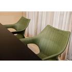 Cadeira Relic Com Braço Verde Alecrim